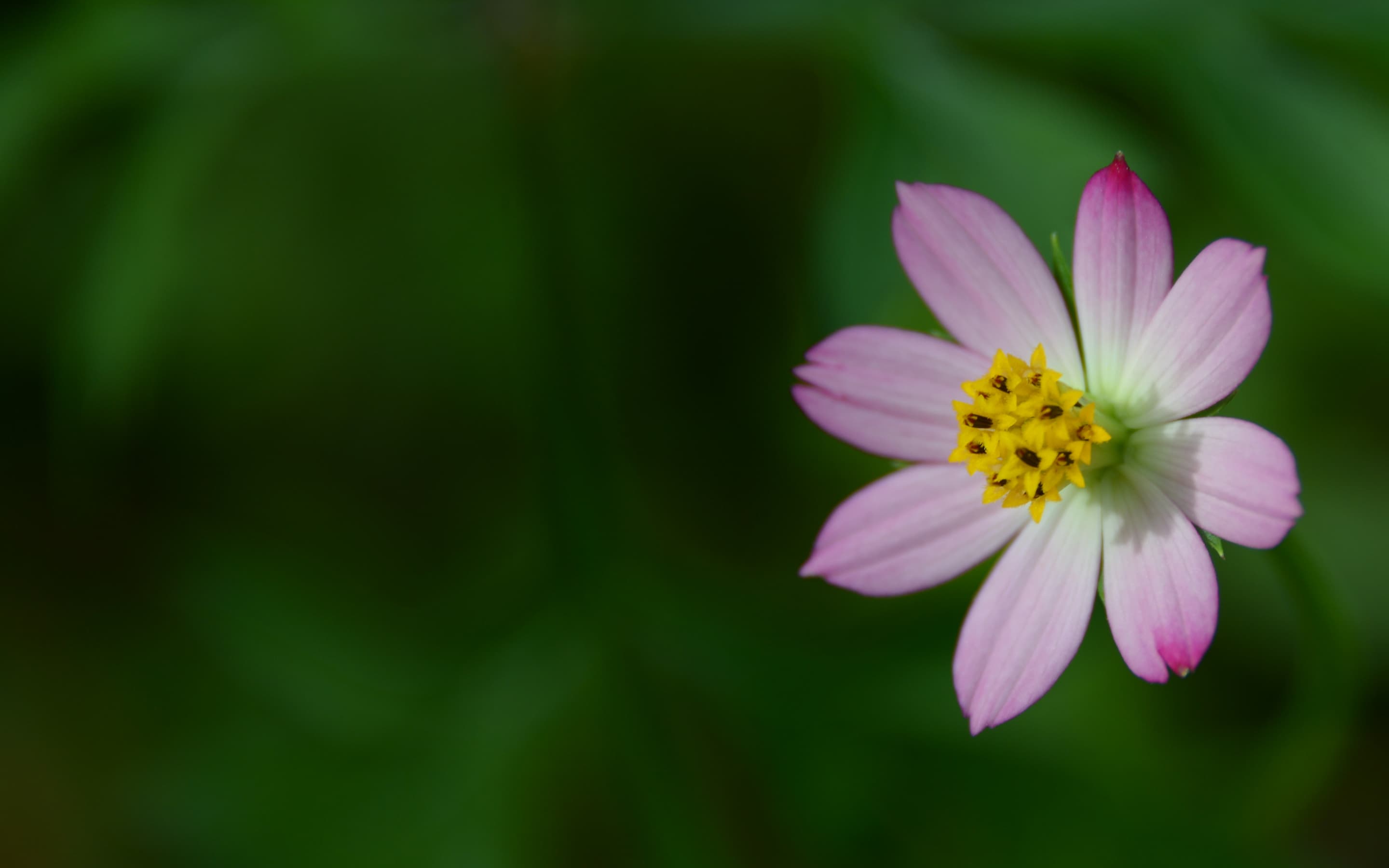 newsletter background image